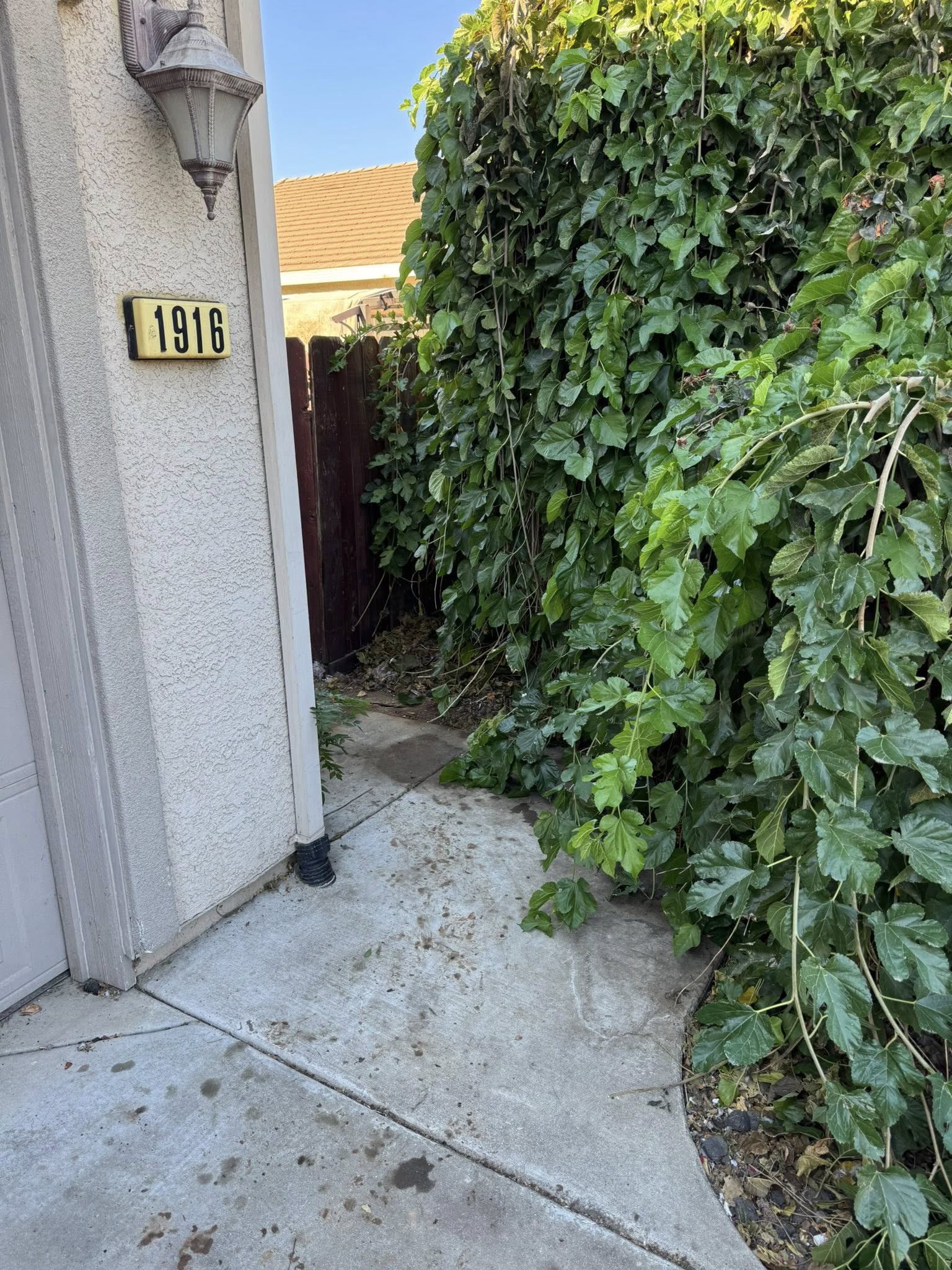 After: driveway entry clear and clean